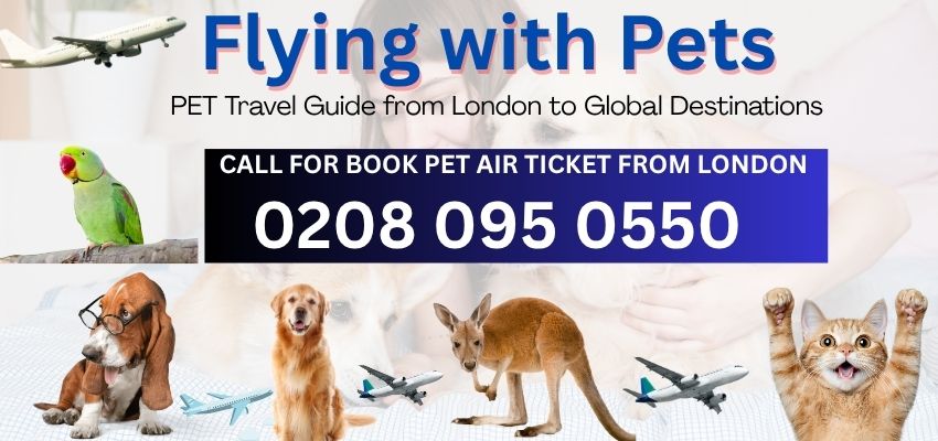 Pet flight booking